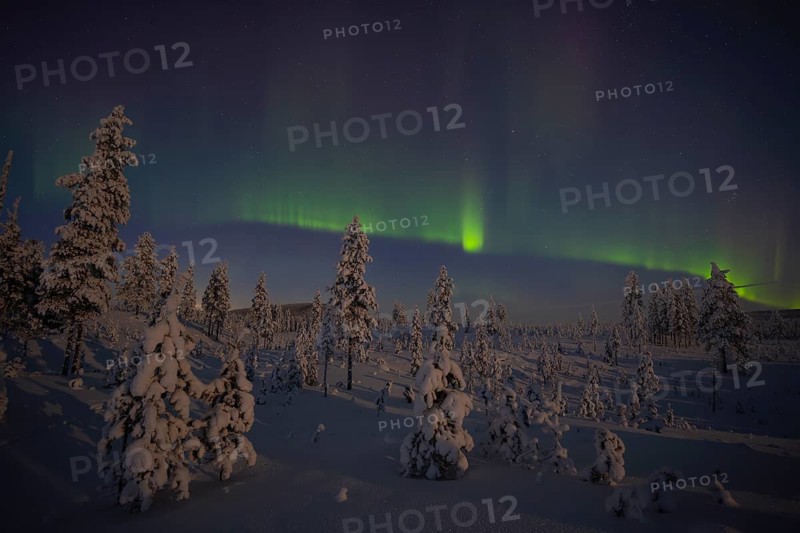 Northern Lights (Aurora borealis) over moonlit winter landscape, Nattavaara, Norrbotten, Lapland, Sweden, November 2023