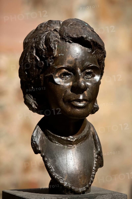 Portrait head Helge Pross, bronze head by Thomas Burhenne, patinated bronze, Giessener Köpfe, Neues Schloss, Giessen, Hesse, Germany