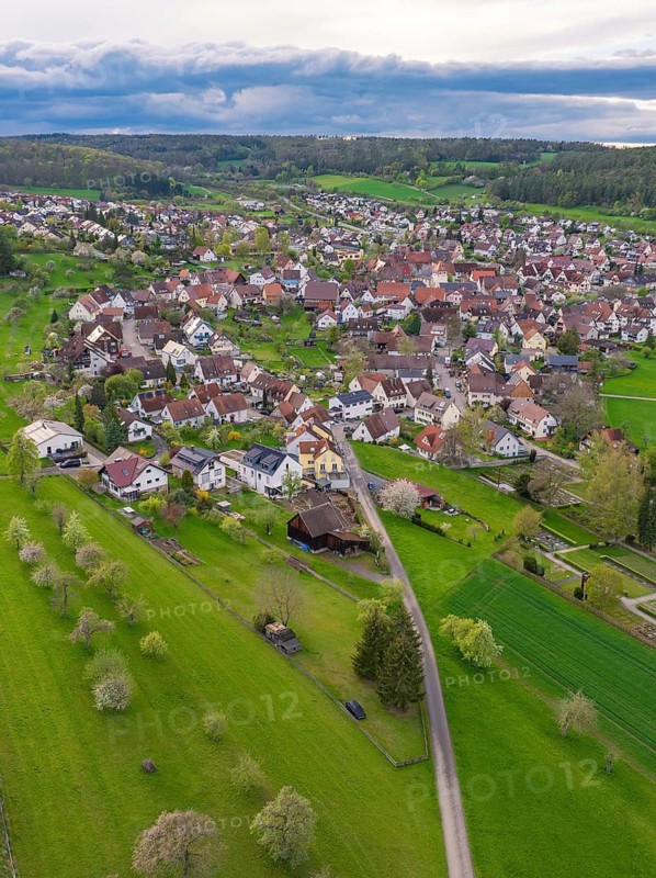 Aerial view of a quiet village landscape with houses and rows of trees along the paths, Ostelsheim, Calw district, Germany