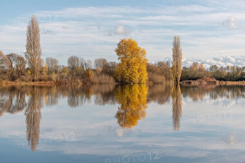 The river flows flat and reflects clouds and mountains under a clear sky. Autumn trees draw the shoreline. It is a quiet moment on the water's edge. Bas Rhin, Alsace, France