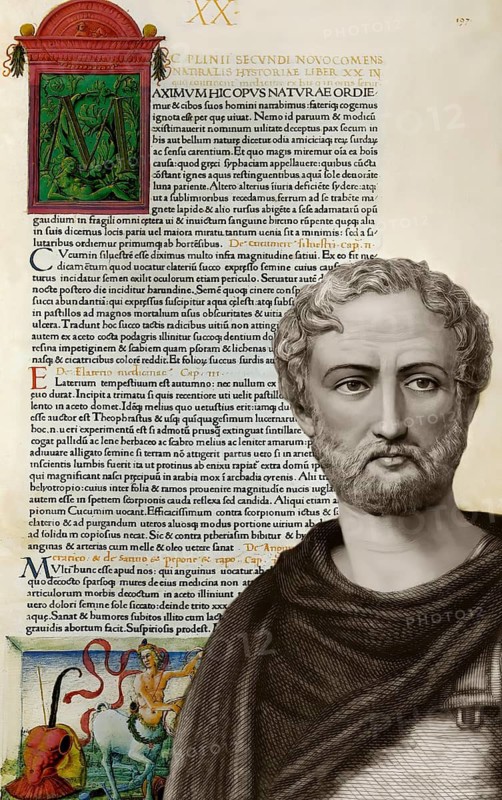 Naturalis Historia, 15th century, after Gaius Plinius Secundus, AD 23/24 – 79, called Pliny the Elder, Roman author