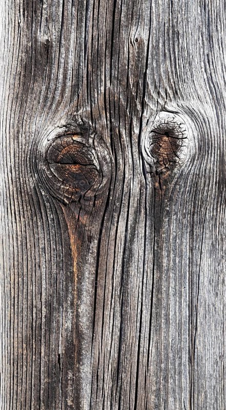 Old weathered wooden plank with knothole on a wooden wall, Upper Austria, Austria