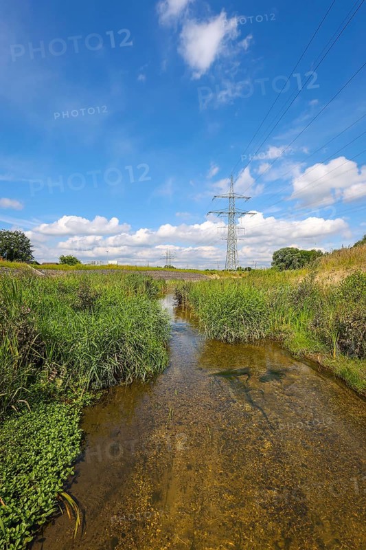 Bottrop, North Rhine-Westphalia, Germany - Renaturalised Boye, the tributary of the Emscher, was transformed into a near-natural watercourse, flood protection through newly designed flooding areas, the Boye is now free of wastewater after the construction of a parallel sewer, is part of the Emscher river system and thus part of the Emscher conversion, was previously an open, above-ground wastewater channel, mixed water channel with surface water and wastewater