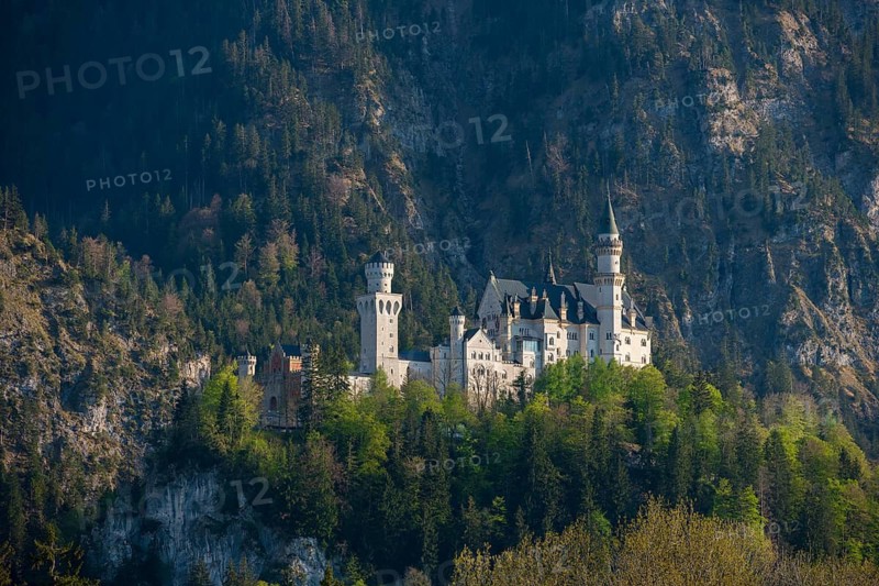 Fairytale Neuschwanstein Castle nestled in wooded mountains, surrounded by a mystical and romantic atmosphere, Schwangau near Füssen, Ostallgäu district, Swabia, Bavaria, Germany