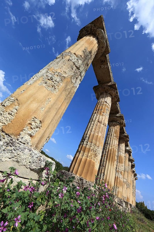 Metaponto, Metaponte, Doric hera temple, Tavole Palatine, Basilicata, Italy