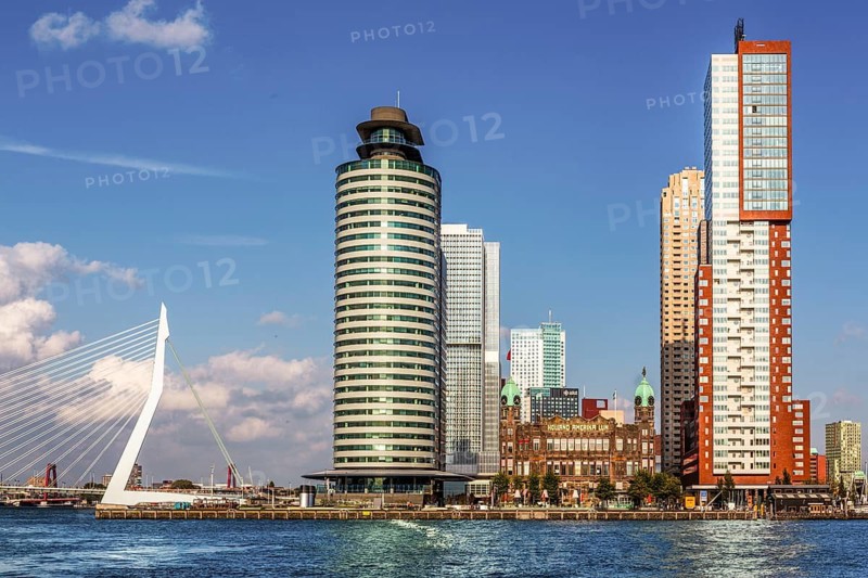 Erasmus Bridge, city panorama, Rotterdam, Netherlands