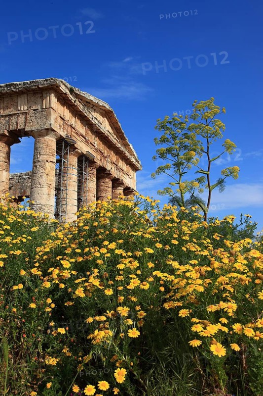 Temple of Hera, Temple of Hera in the former ancient city of Segesta, the province of Trapani, Sicily, Italy