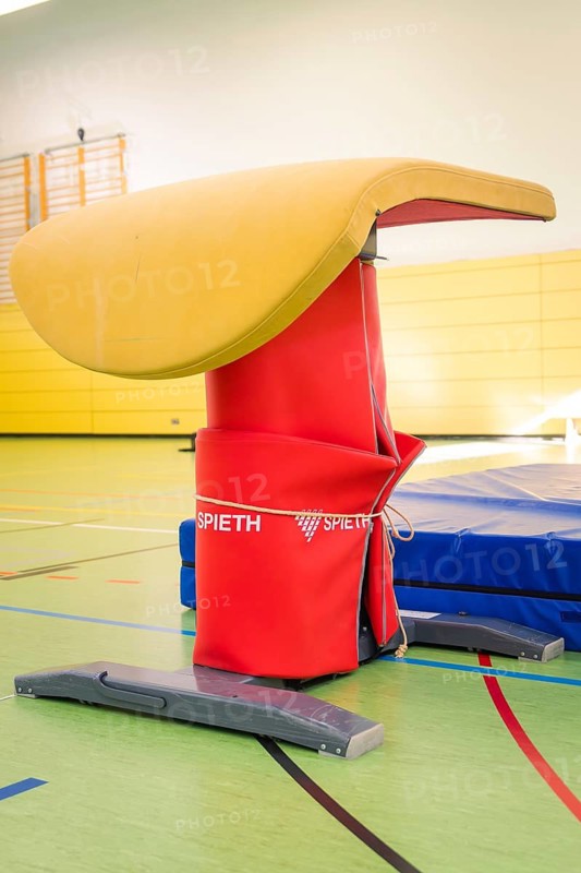 A padded jumping horse in red and yellow in a bright sports hall, Gymnastics, Calw, Germany