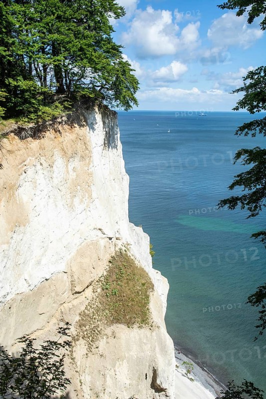 Möns Klint chalk cliff, Baltic Sea, island of Mön, Denmark, Scandinavia