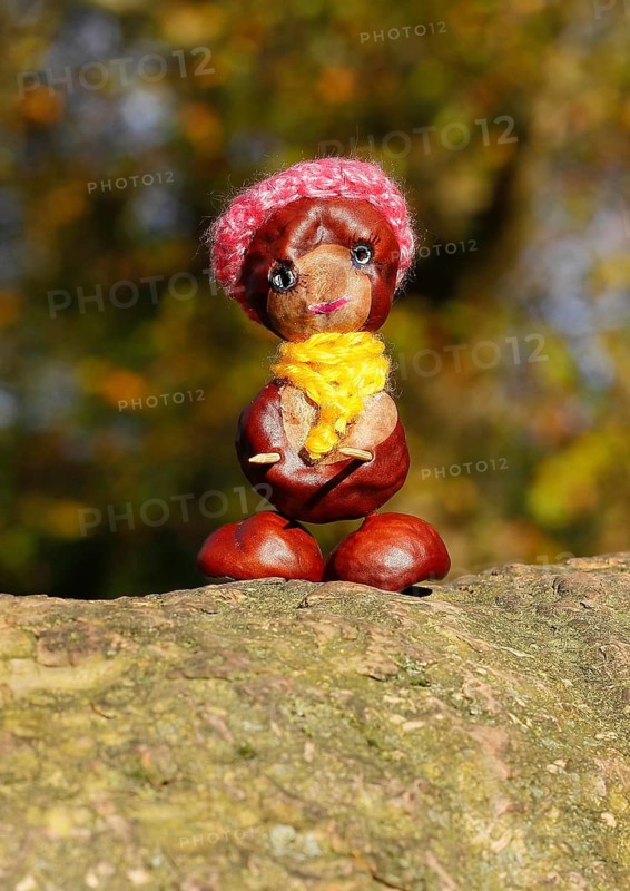 Funny chestnut figure with hat and scarf on a tree trunk, North Rhine-Westphalia, Germany