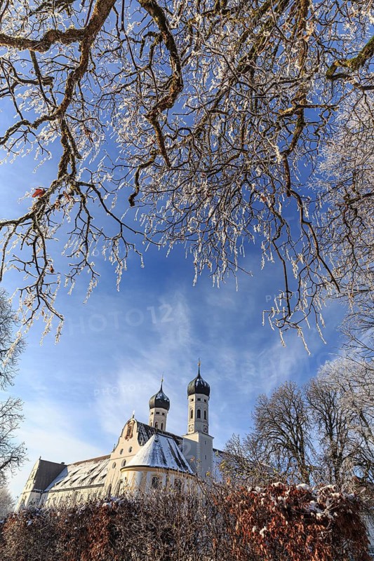 Trees in hoarfrost, sunny, monastery, church, Benediktbeuern Monastery, Bavaria, Germany