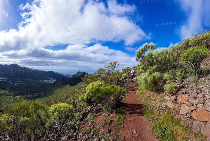Mountain hiking, hikers on the way to Risco Blanco, El Molledo, Tenerife, Canary Islands, Spain