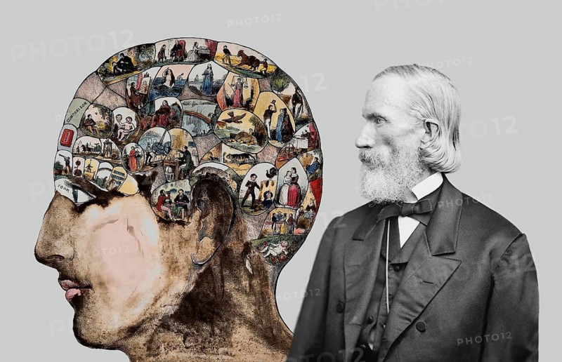 Orson Squire Fowler, 1809 – 1887, American phrenologist with a Phrenological Chart, head with mental and moral faculties