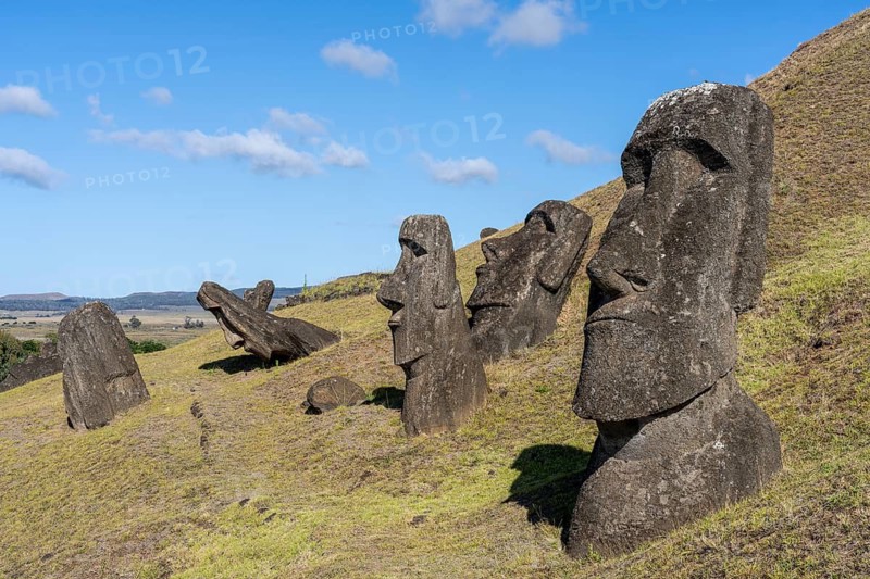 Moai stone statues on the slope of the Rano Raraku volcano, partly standing upright, partly overturned, Rapa Nui National Park, Easter Island, Chile