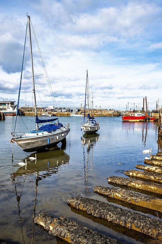 Brixham Hourbour and Brixham Marina, Brixham, Torbay, Devon, England, United Kingdom