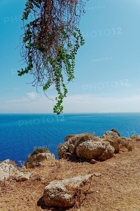 Cliffs with green vegetation over a wide blue sea under a clear sky, hike from Aperi to Limniatis Cave, Limniatis Cave, Aperi, Karpathos, Greece