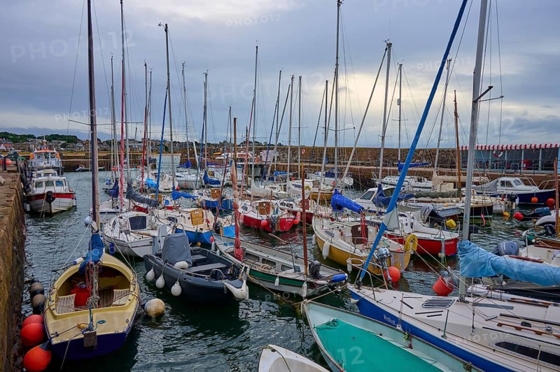 Small harbour with numerous sailboats and yachts under a cloudy sky, North Berwick, East Lothian, Scotland, United Kingdom, Great Britain