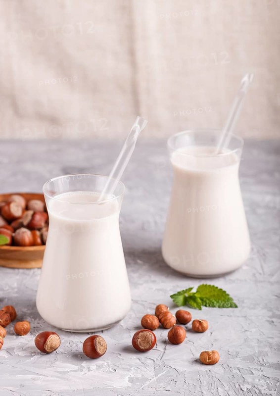 Organic non dairy hazelnut milk in glass and wooden plate with hazelnuts on a gray concrete background. Vegan healthy food concept, close up, side view