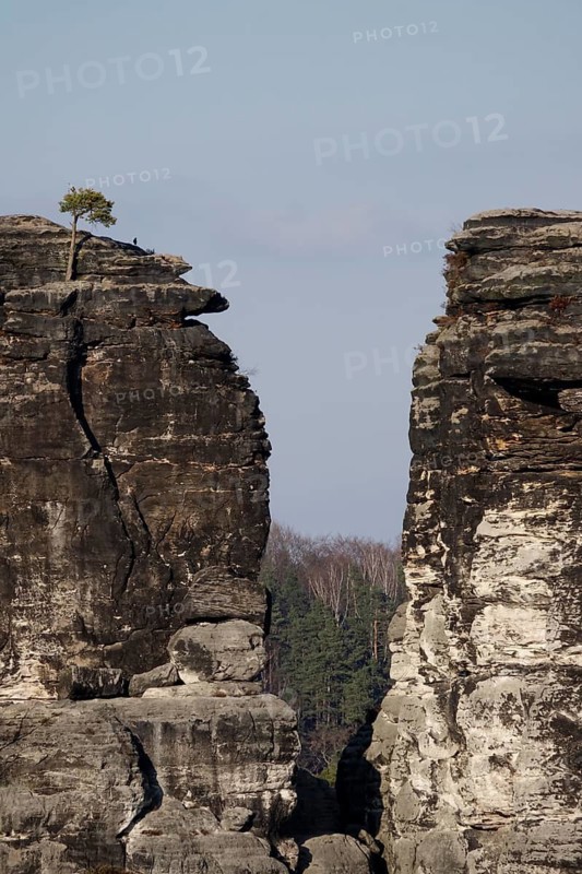 Elbe Sandstone Mountains, Bastei area, March, Saxony, Germany