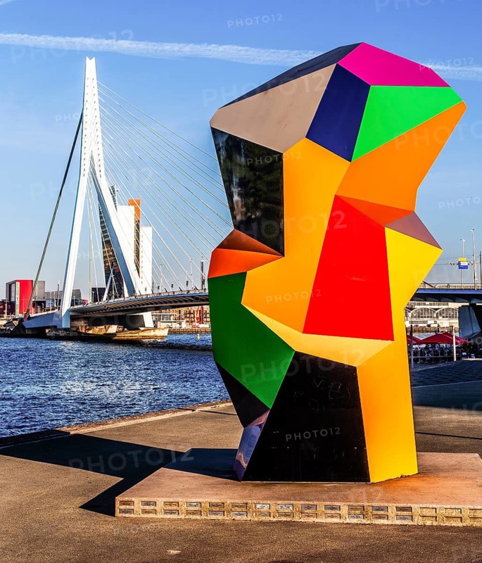 Erasmus Bridge, city panorama, Rotterdam, Netherlands