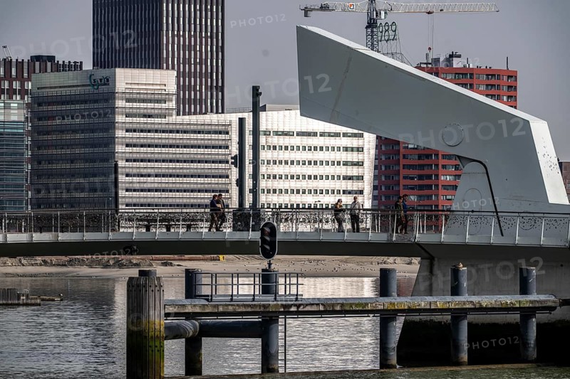 The Rijnhaven bridge over the Rijnhaven harbor basin at Kopf van Zuid, Wilhelminapier at Hotel New York and Katendrecht, foot and bicycle bridge, foldable, Rotterdam, Netherlands