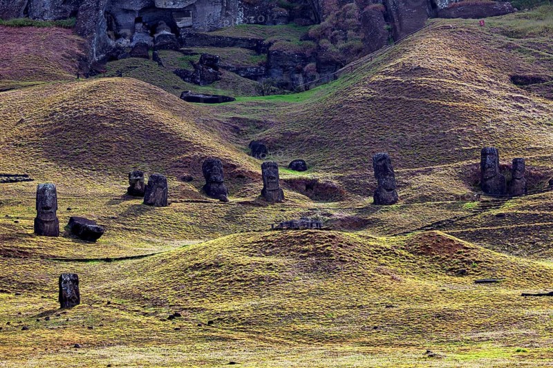 Several moai on a wavy hilly landscape under a cloudy sky, the moai statues on Easter Island in the Pacific Ocean