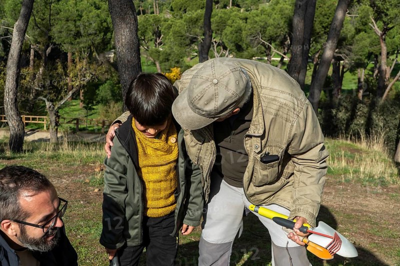 Three generations come together in an urban park or forest, participating in eco-friendly activities and replanting to promote sustainability and strengthen community bonds