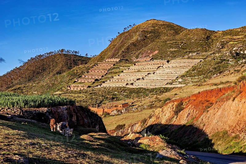Terraces in a mountainous landscape with clear blue skies surrounded by vegetation and shade, the Machuqolqa Inca Site in the Sacred Valley of the Incas in Peru
