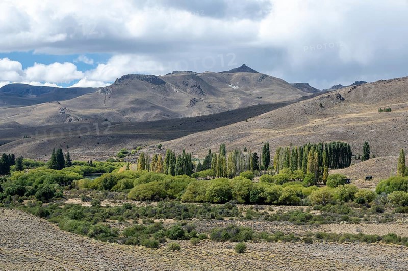 Oasis on the Rio Limay river in the steppe near Bariloche, Patagonia, Argentina