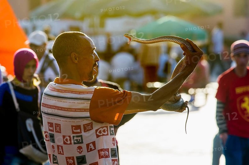 Snake charmers on Place Djemma el-Fna, Juklerplatz, UNESCO World Heritage Site, Marrakech, Morocco