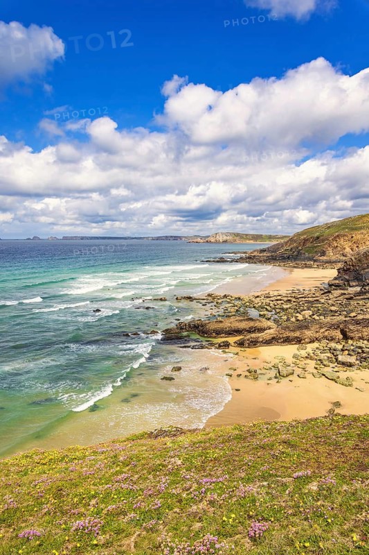 Flowering meadow with wildflowers and a awesome view at a rocky coastline with breaking sea waves at a beach a sunny summer day, Lostmarc'h, Crozon peninsula, Bretagne, France