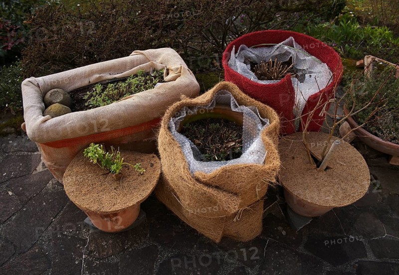 Jute, jute fabric and coconut mat, frost protection, winter protection, plant cover for pot plants, terrace, garden, Stuttgart, Baden-Württemberg, Germany