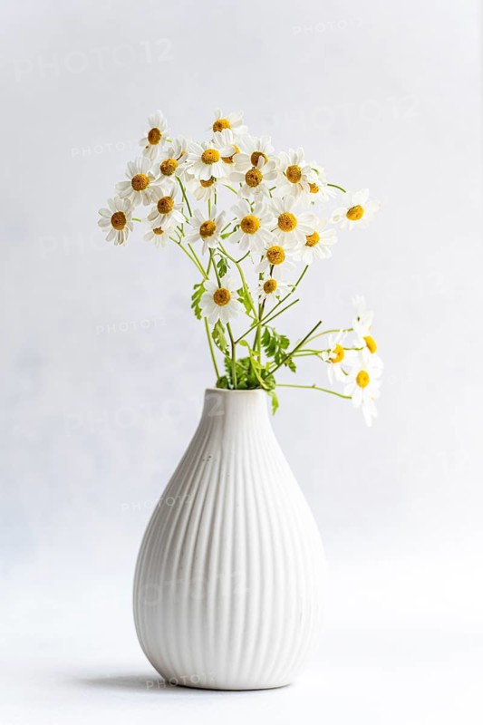 A collection of delicate daisies beautifully arranged in a white, textured vase against a soft, light background. Perfect for adding a touch of nature to any room decor