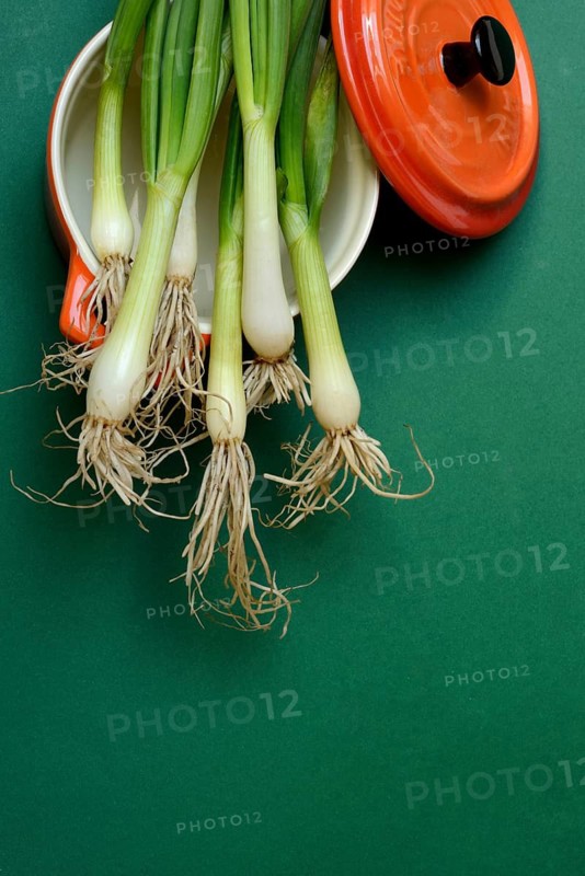 Spring onions in pots, onion