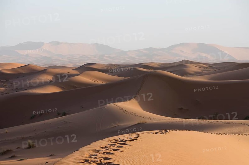 Warm golden sand dunes stretch across a vast Merzouga desert landscape under a clear sky. The dunes are highlighted by the soft glow of the setting sun, creating an awe inspiring scene of Morocco