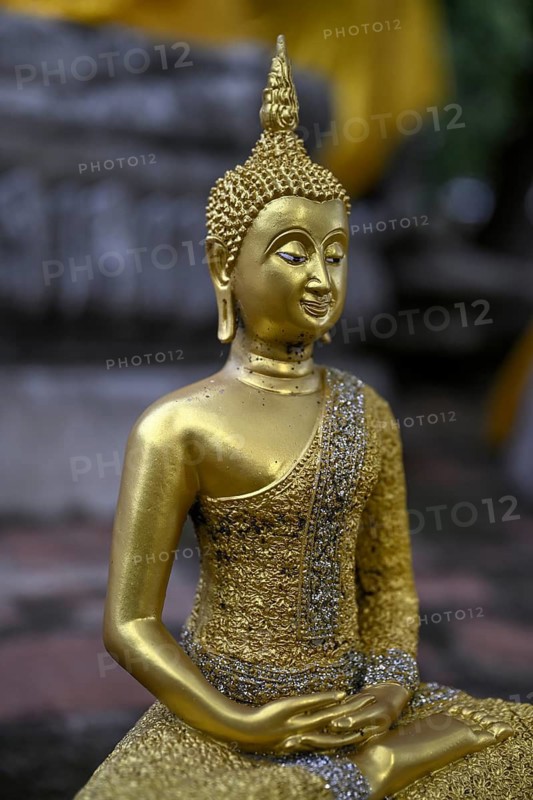 Buddha statue in Wat Yai Chai Mongkhon, Buddhist temple, Ayutthaya, Ayutthaya province, Thailand