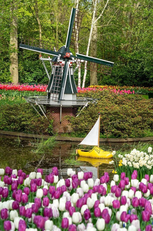 The Keukenhof, gardens, amusement park, spring park, spring flower show, near Lisse, South Holland, Netherlands, tulip, daffodil and hyacinth show with over 7 million flowers, one of the biggest tourist attractions in Holland