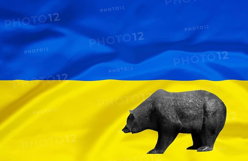 Stock market, stock prices in Ukraine, bear market, falling prices, flag, national flag, bear, bull and bear, symbolic figures of the stock exchange, Ukraine, studio recording, Federal Republic of Germany