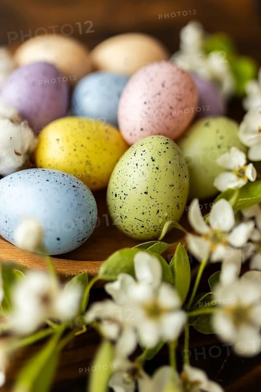 Pastel-colored Easter eggs rest alongside delicate white blossoms, creating a charming and festive display perfect for spring celebrations and decorations