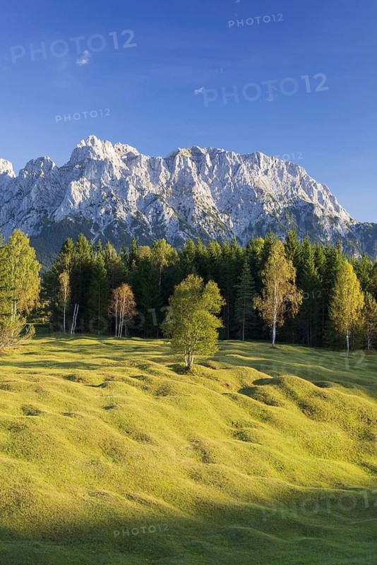 Hummock meadows between Mittenwald and Krün, Werdenfelser Land, with the Karwendel mountains behind, Upper Bavaria, Bavaria, Germany