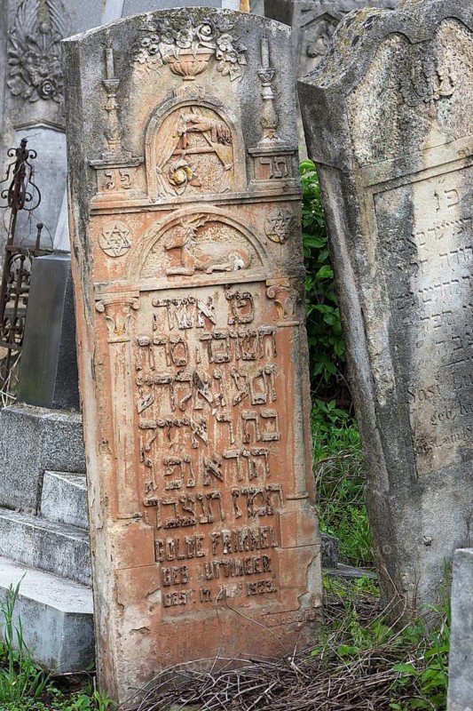 Tombstone with fabulous reliefs of various Jewish symbols, Jewish cemetery, since 1866, Czernowicz, Bukovina, Ukraine