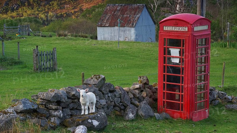 Europe, Scotland, Great Britain, England, landscape, Red Phone Box, Highlands