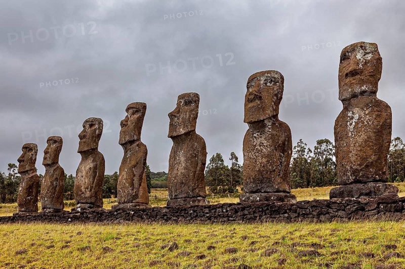 Several Moai statues stand in line under a cloudy sky on Easter Island, The Moai statues on Easter Island in the Pacific Ocean