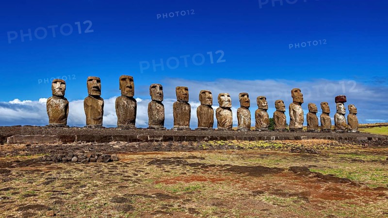 Moai statues stand in a long line against a clear sky on a grassy area, The Moai statues on Easter Island in the Pacific Ocean