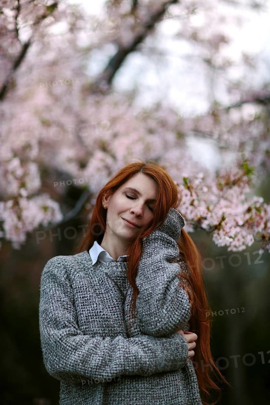 A serene moment captured as a person stands under blooming cherry blossoms, enveloped in soft pink petals during Japan's sakura season. The scene epitomizes tranquility and nature's beauty