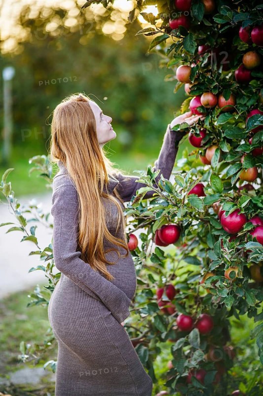 Beautiful pregnant woman with flowing red hair stands gracefully in an orchard, surrounded by lush green leaves and red apples, enjoying the tranquil, natural environment