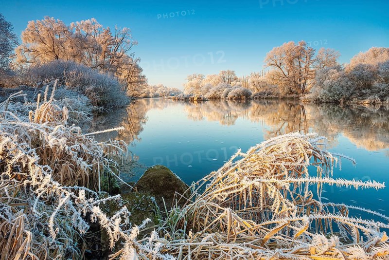 Landscape on the river Eder in winter, trees and reeds covered with hoarfrost, reflection in water, near Bad Wildungen, Hesse, Germany