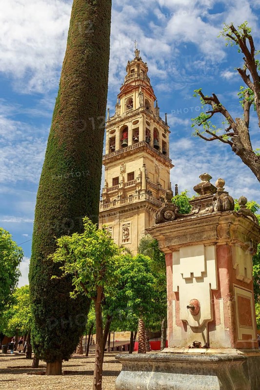 Old bell tower next to a tall, slender tree and an ornate fountain, Malaga, Spain
