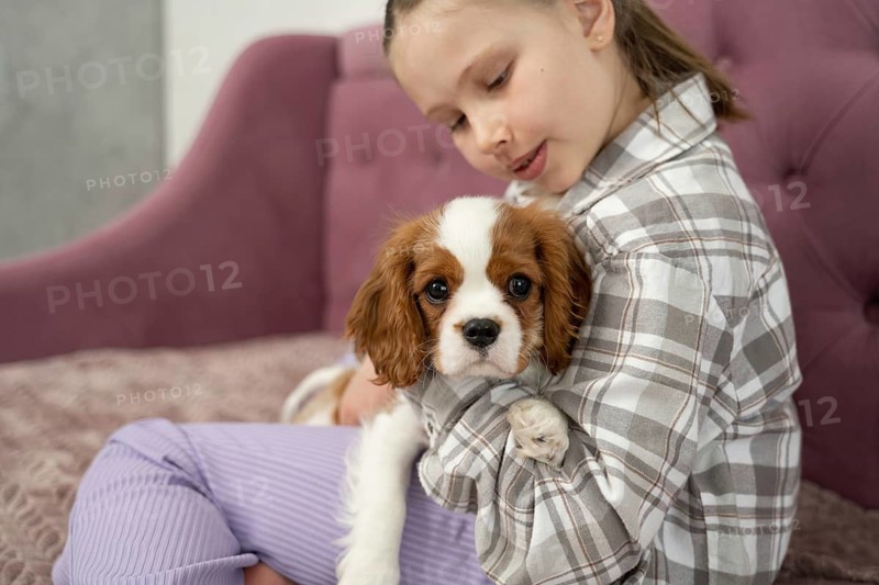 A young girl lovingly embraces a small puppy on a sofa at home. The comforting setting evokes warmth and companionship, highlighting the bond between pet and owner