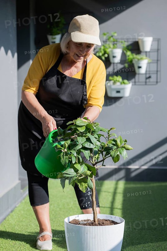 An elderly woman is watering a potted plant with a green watering can. Dressed in a yellow shirt and a black apron, she is tending to her urban garden on a sunny balcony